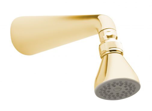 Small standard shower head complete with standard arm , Antique Gold Plated